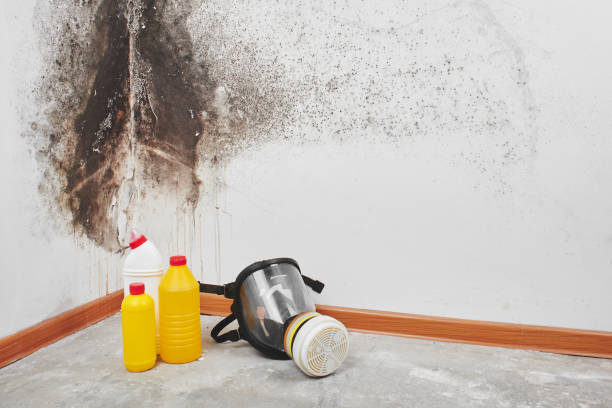 Water Damage Restoration in Cozad, NE