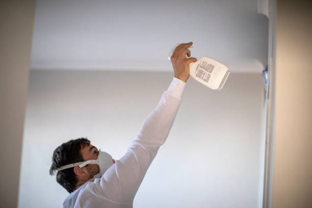 Best Fast Mold Removal  in Cozad, NE